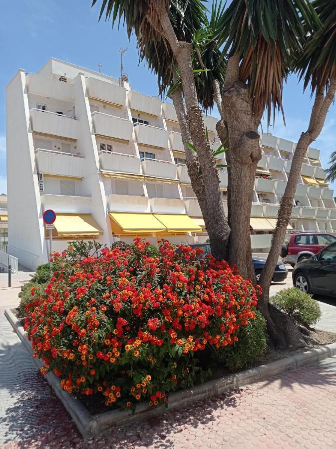 Apartamento Estudio *